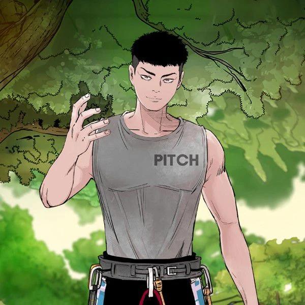 PITCH