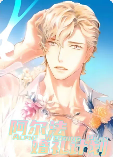 阿尔法婚礼计划