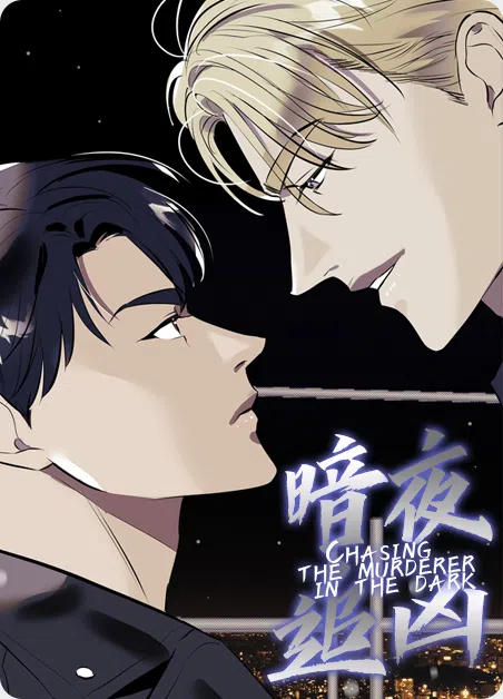 暗夜追凶