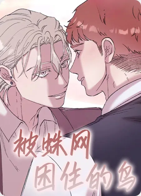 被蛛网困住的鸟