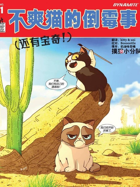 不爽猫的倒霉事