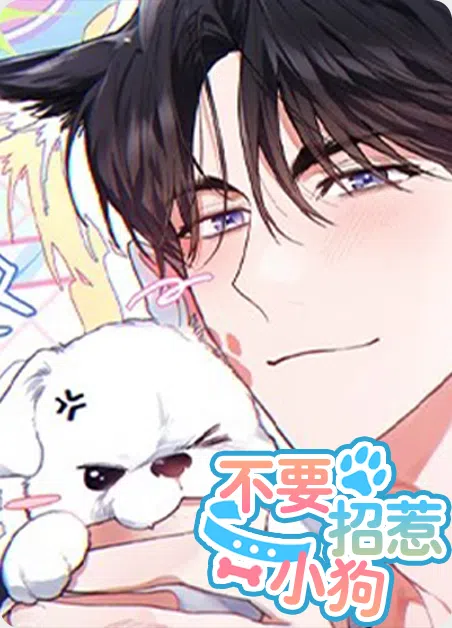 不要招惹小狗