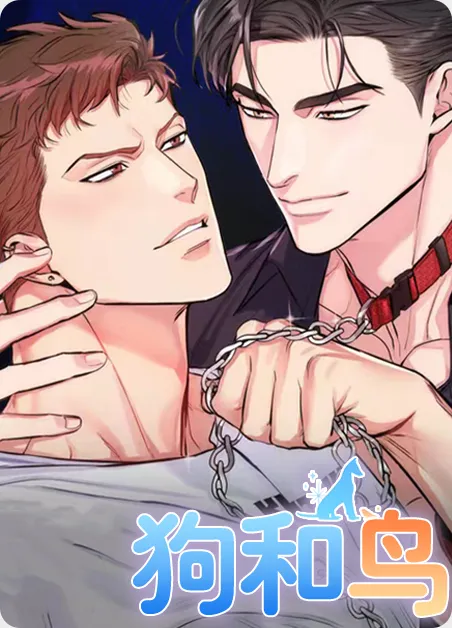 狗和鸟