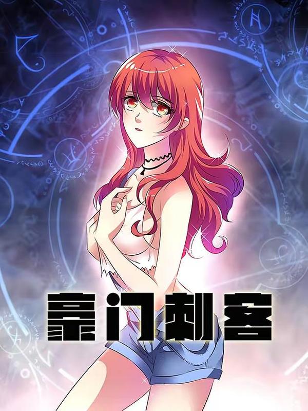 豪门刺客