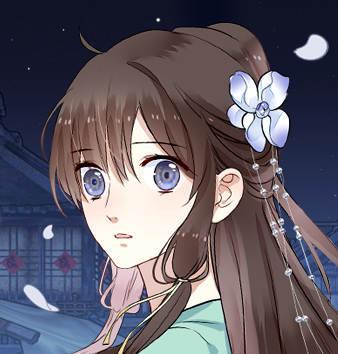 镜花殇