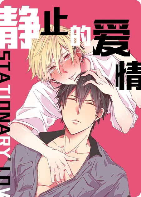 静止的爱情