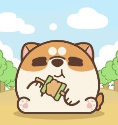 米犬日常