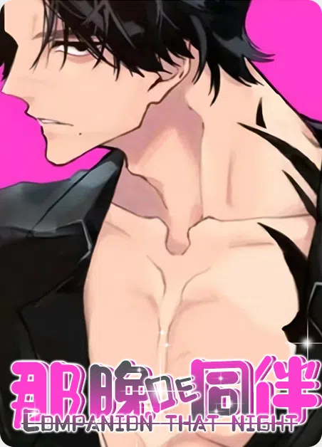 那晚的同伴