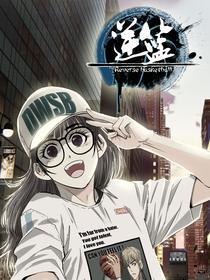 逆篮