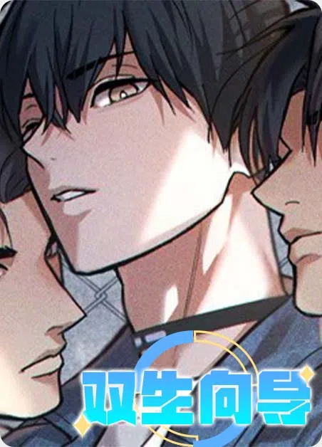 双生向导