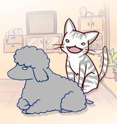 我的小猫和老狗