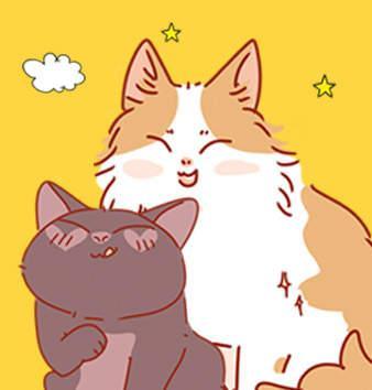 我只是一只小猫咪