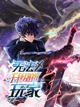 无法升级的玩家_h