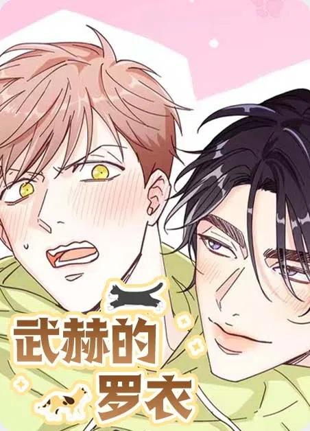 武赫的罗衣
