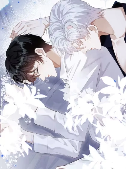 在星际成为团宠