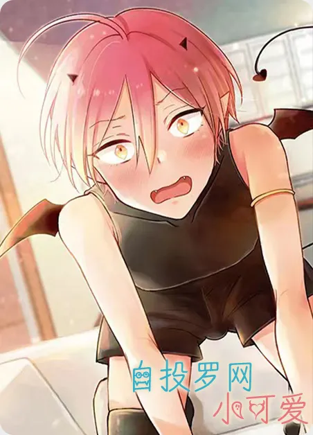 自投罗网小可爱